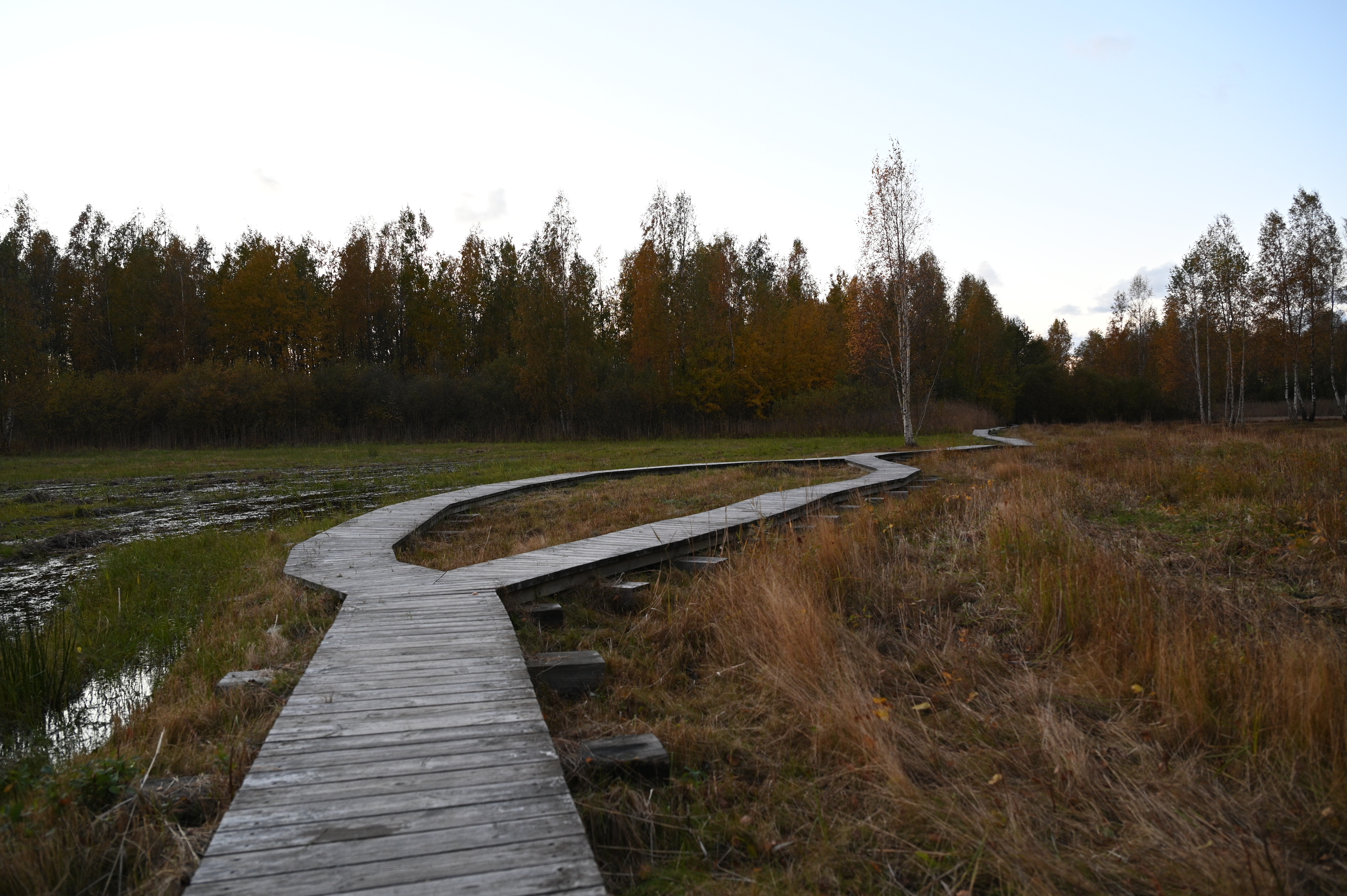 2025/10/18 - walk/DSC_0552.JPG